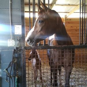 Meet your Posher, Wendy